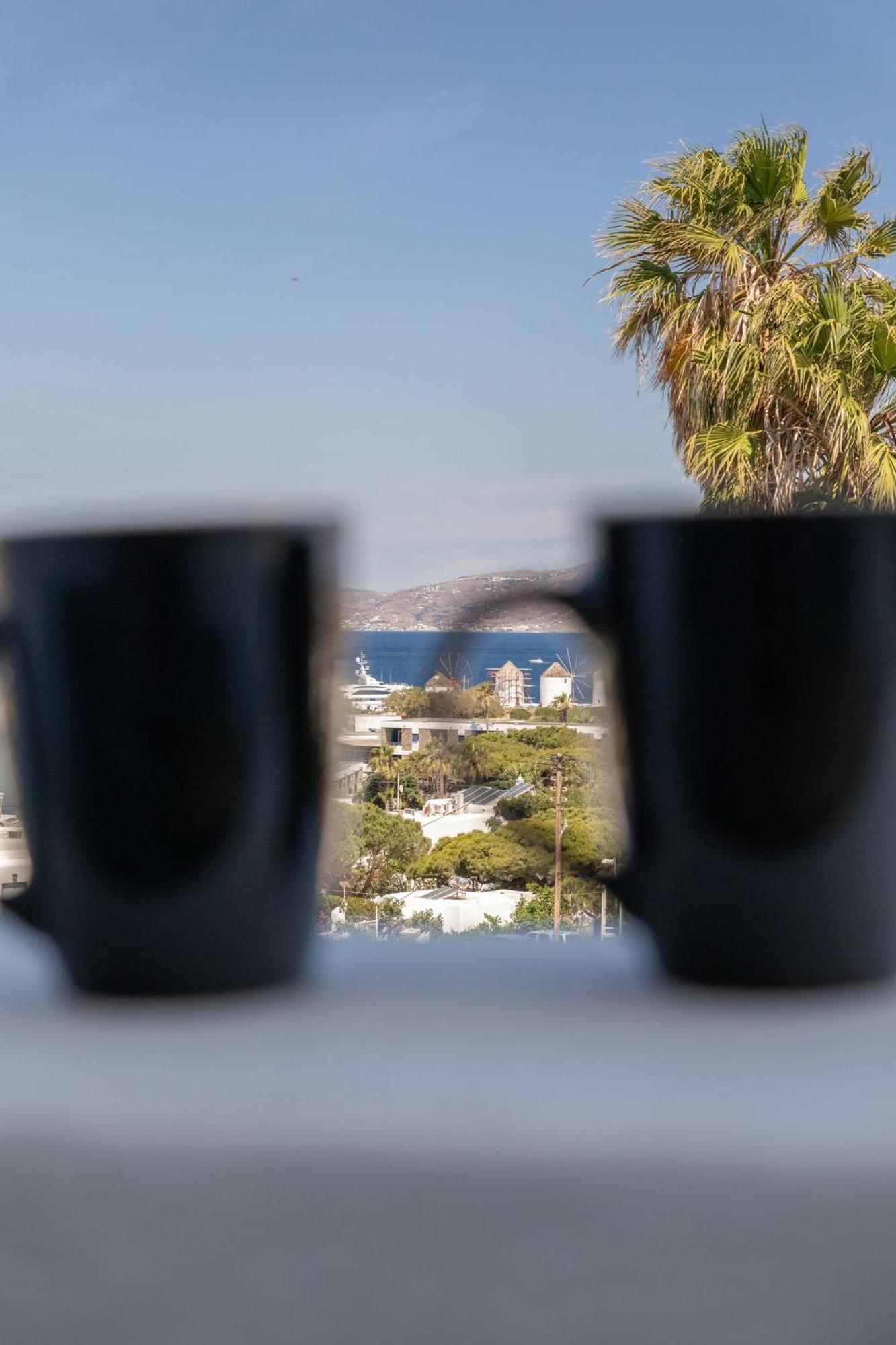 Dimele Aparthotel Mykonos Town Buitenkant foto